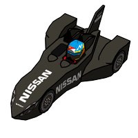 Delta Wing